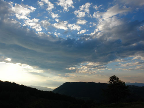 Foto peste Valea Arinului (c) Petru Goja